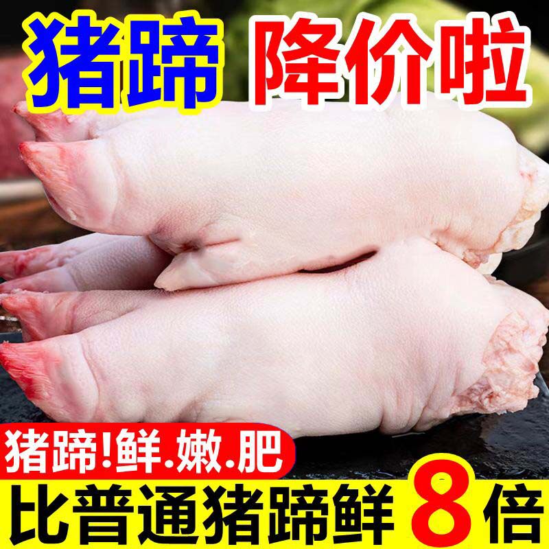 新鲜生猪蹄冷冻整只带筋猪前蹄土猪蹄生猪蹄猪手猪爪生鲜批发整箱_虎窝淘