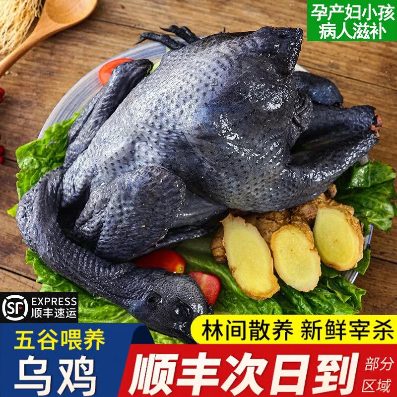 乌鸡新鲜现杀正宗农家散养乌骨鸡炖汤柴整鸡煲汤鸡肉笨鸡爪腿滋补,水产肉类/新鲜蔬果/熟食,整鸡/整鸡制品,淘宝优惠券,粉丝福利购,淘宝优惠卷