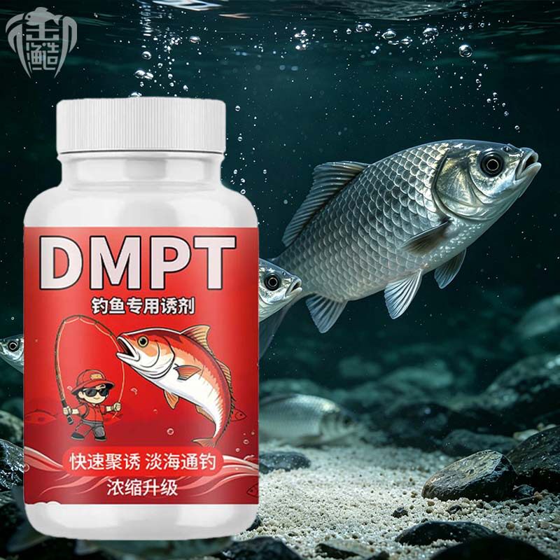 DMPT钓鱼小药粉甜菜碱素鲫鲤青草鳊鲢鳙诱食开口鱼饵料窝料生物素