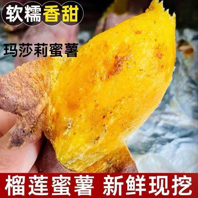 玛莎莉红薯新鲜日本引糖心黄金蜜薯莎丽软糯超甜黄心壤番薯地瓜