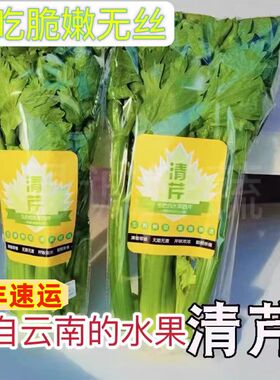 云南新鲜水果清芹可生吃的芹菜当季现摘新鲜网红菜绿色榨汁蔬菜5