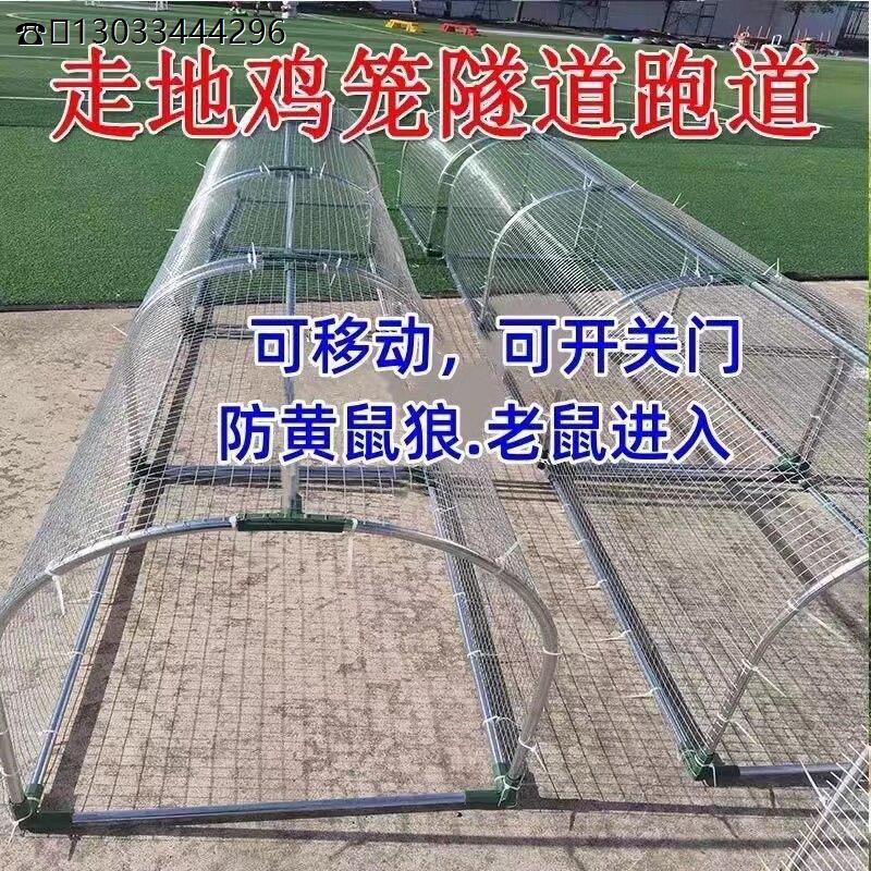 走地鸡笼隧道养鸡户外庭