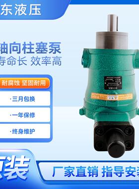 启东高压油泵10 25 40 63 80 160YCY 250YCY14-1B轴向柱塞泵液压