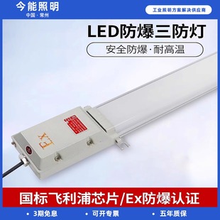 LED防爆灯长条灯防尘支架日光灯三防灯隔爆型荧光灯防水灯管