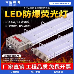 led防爆灯荧光灯仓库专用支架灯工业厂房车间防水尘隔爆型三防灯