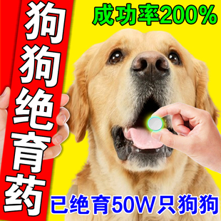 狗狗绝育片防止宠物猫乱叫紧急避孕0失败禁情粉公母狗狗发情抑制