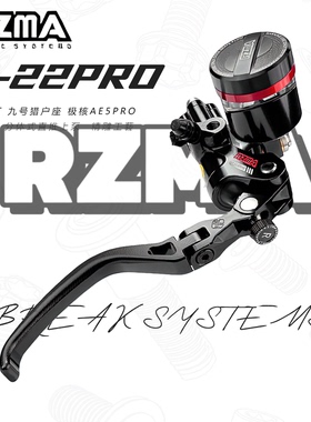 瑞祖玛适用九号M5/猎户座/极核AE/小牛FX/Nx车型 T22Pro直推上泵