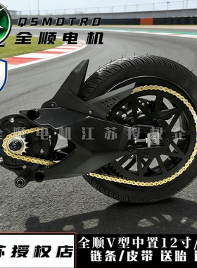全顺12寸中置V型总成3000瓦适用于九号国标系列小牛u极核双减震