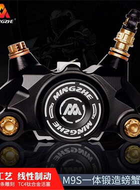 明浙M9S一体螃蟹卡钳小牛NXT/FX/九号MZ/M95C/m85c极核AE4升级