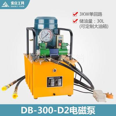 DB300-D2 3KW双回路油压机双向大功率液压电动泵 超高压脚踏泵