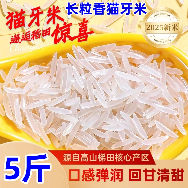 长粒香猫牙米贵州2025年新米