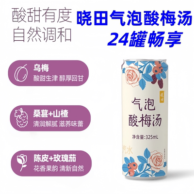 晓田酸梅汤气泡梅汤325ml*24瓶
