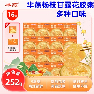 芈燕杨枝甘露花胶粥252g*16碗半燕杨枝甘露即食花胶营养滋补礼盒