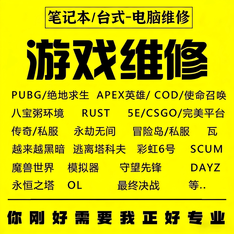 电脑机器维修LOL穿越火线APEX逆战未来CF塔科夫码无畏契约过炸鱼