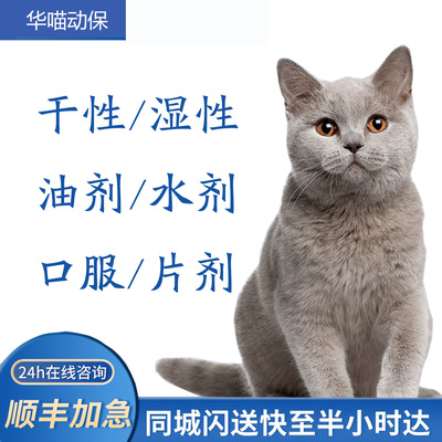 猫咪干性湿性针剂口服片剂