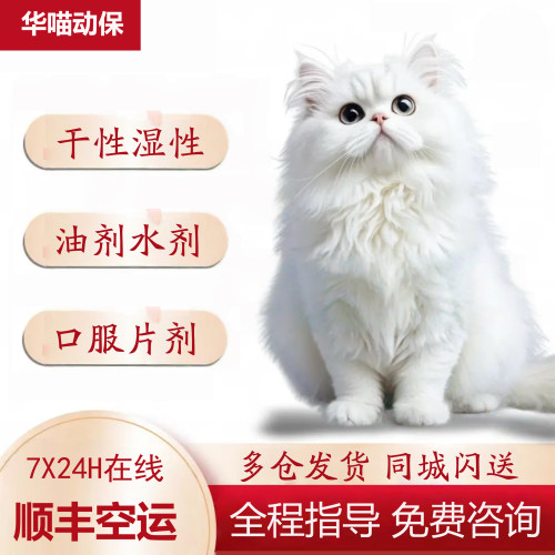 针剂口服片剂干性湿性顺丰
