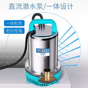 直流潜水泵12V24v48V60V72伏家用电瓶电动车抽水泵小型农用抽水机