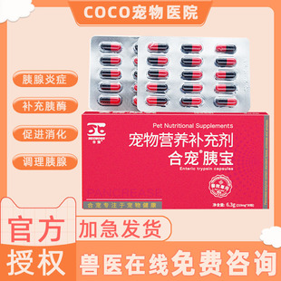 胰宝胶囊宠物狗猫用胰消化素狗狗猫咪胰腺炎犬用台湾宠胰宝胰酶