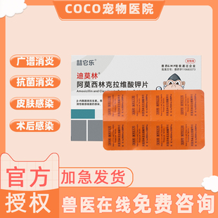 阿莫西林片猫鼻支伤口膀胱炎尿血咳嗽消炎兽用克拉维酸钾猫狗通用