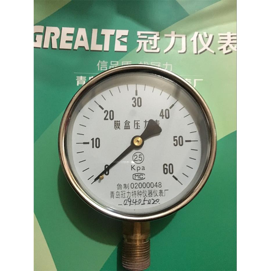 YE100膜盒压力表0~100KPA青岛冠力特种仪器仪表厂
