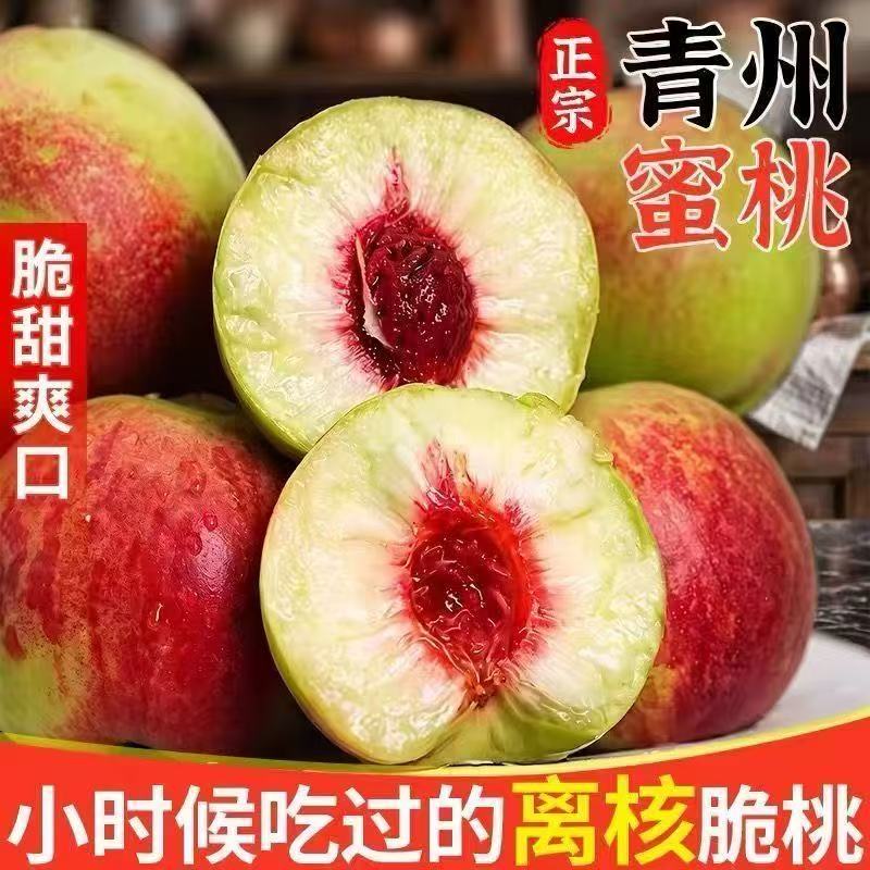 晚熟桃树苗 青州蜜桃树苗 冬雪蜜桃苗 嫁接桃苗南北方种植果树苗