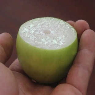 枣树嫁接苗 台湾牛奶大青枣树苗南方盆栽地栽青枣苗当年结果