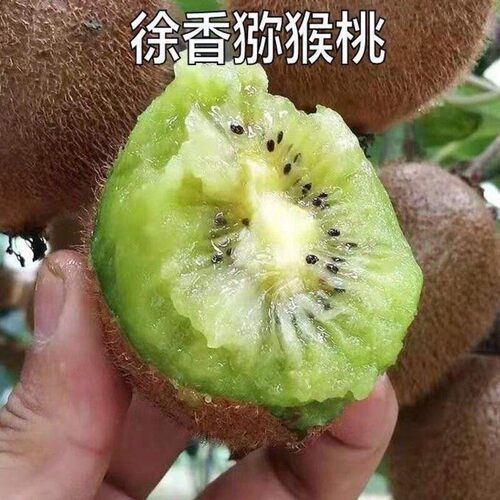 新品种果猕猴桃树苗绿心嫁