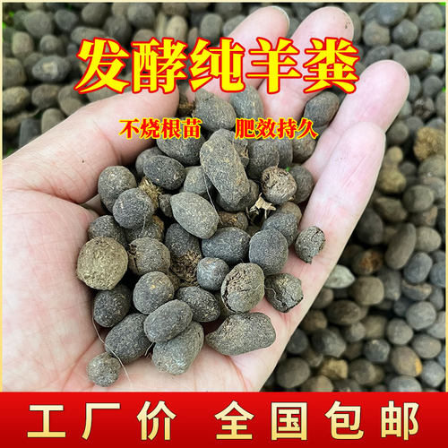 10-100纯干羊粪发酵有机肥花肥家用盆栽通用型纯羊粪蛋养花专用肥