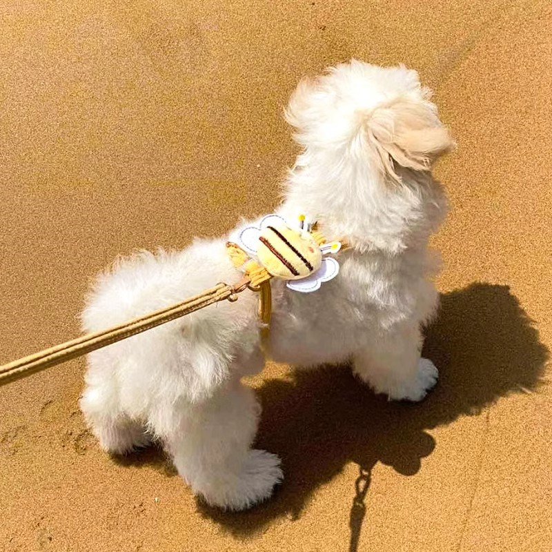 小狗狗牵引绳可调节比熊泰迪金毛防挣脱小中型犬狗链遛狗外出专用