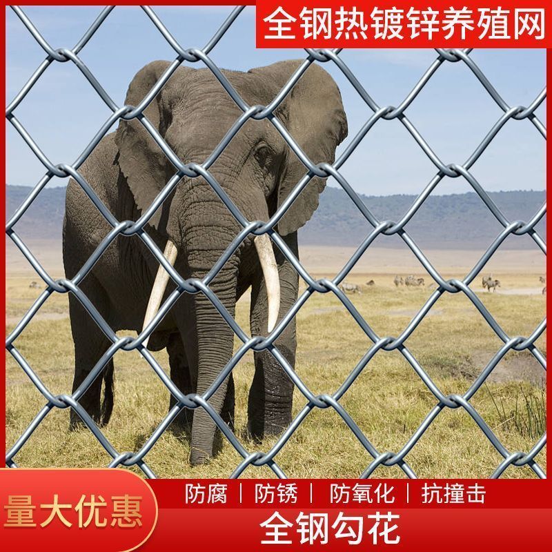 镀锌铁丝网勾花网围栏圈牛羊防护养殖钢丝网养鸡狗果园隔离护栏网