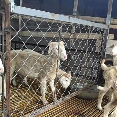 钢丝网铁丝网果园勾花网