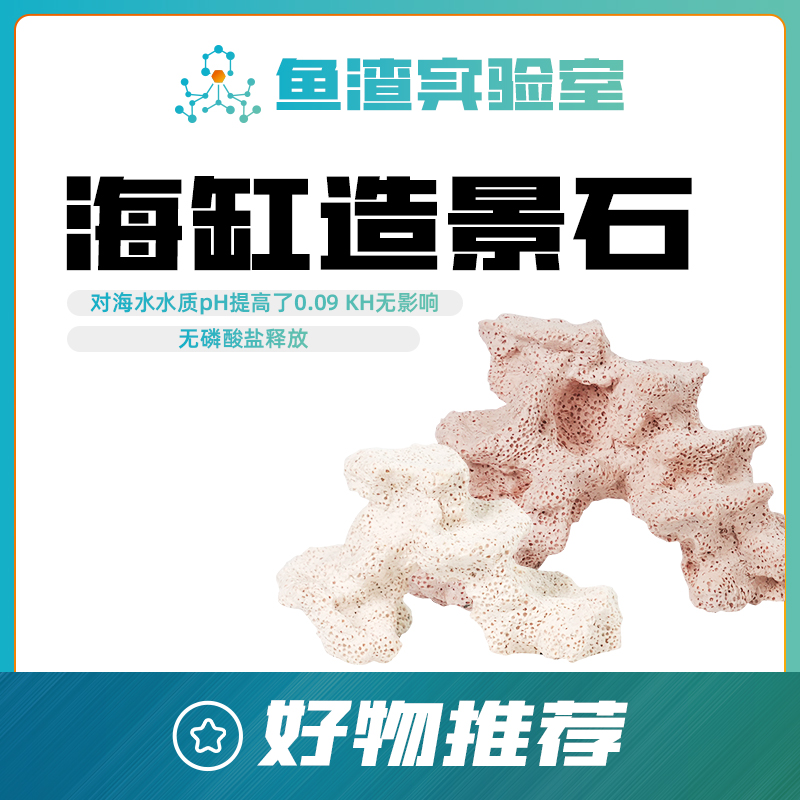 海葵窝造景石微景观造景躲避屋