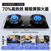 创维燃气灶双灶家用煤气灶猛火灶具液化天然气炉灶台以旧换新补贴 thumbnail 8