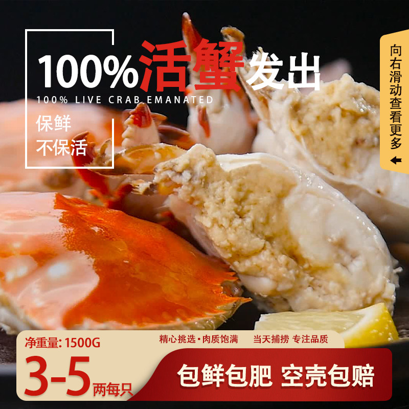 海鼎纪旗舰店 舟山梭子蟹新鲜活蟹发出非冻蟹鲜活三斤装 3-5两/只属于什么档次？