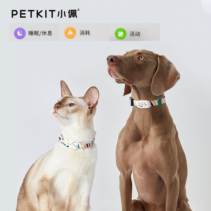 小佩宠物智能猫牌狗牌 互动APP猫咪活动检测穿戴设备蓝牙寻猫寻狗