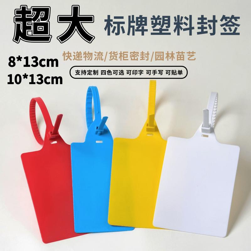 大号物流吊牌快递挂签扎带10*13