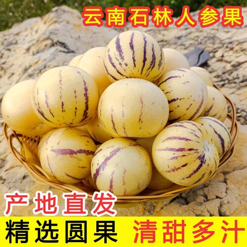 【真树上熟】云南树熟人参果黄心圆果黄肉清甜多汁新鲜水果