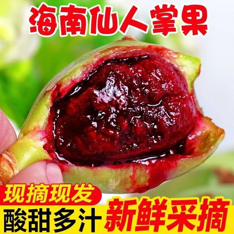 正宗海南仙人掌果野生仙人果现摘当季孕妇仙桃热带水果花青素仙果