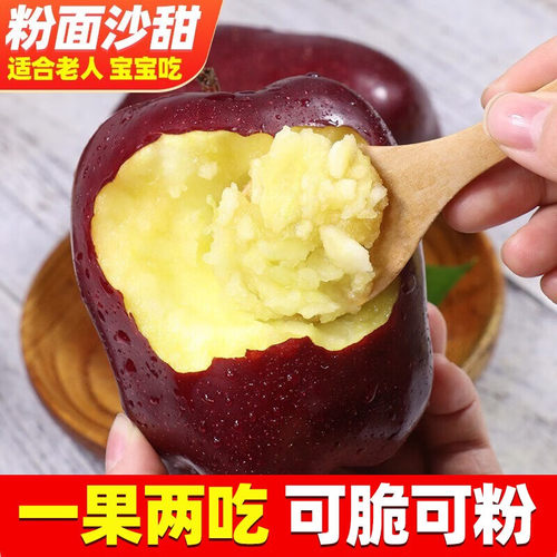 天水花牛苹果粉面糯老人宝宝辅食水果当季整箱鲜脆后粉花牛红果蛇