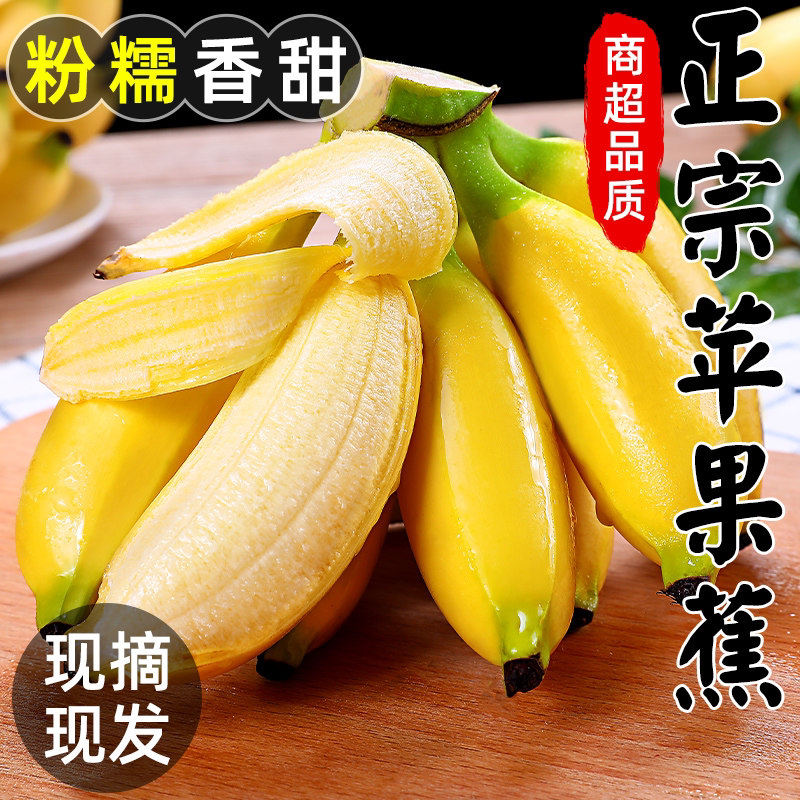 正宗海南苹果蕉新鲜水果当季苹果蕉软糯香蕉芭蕉整箱自然熟苹果蕉