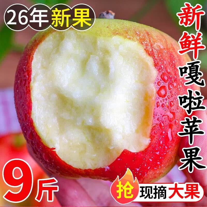陕西嘎啦红富士苹果脆甜现摘当季新鲜丑苹果水果整箱糖心嘎啦苹果