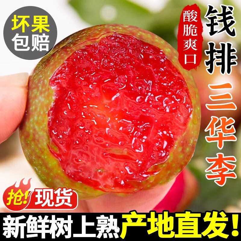 正宗钱排三华李红心李子5斤大果茂名红肉新鲜李子水果整箱大李子