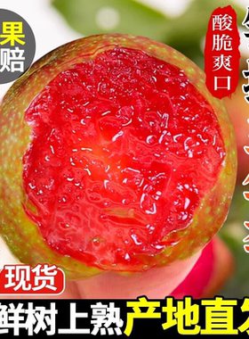 正宗钱排三华李红心李子5斤大果茂名红肉新鲜李子水果整箱大李子