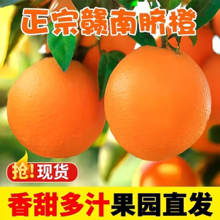 新鲜脐橙10斤赣州橙子水果现摘手剥脐橙整箱包邮富川脐橙秭归橙子