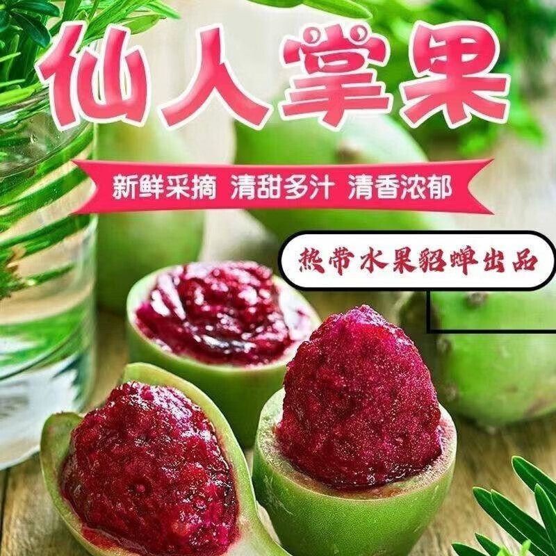 正宗海南仙人掌果野生三亚仙人现摘当季仙桃果3/5斤整箱顺丰大果