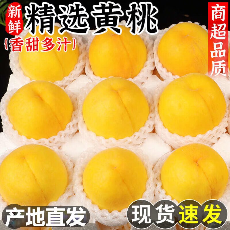 山东黄桃黄金蜜毛桃油桃蜜桃新鲜黄金桃子脆甜桃子新鲜高山精选桃