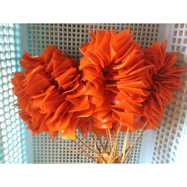 四川达州大竹土特产观音豆腐干竹篾串串袁驿梁平豆干满10串包邮