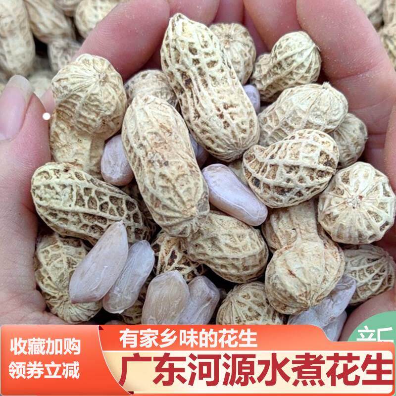 广东客家特产河源忠信农家水煮花生晒干花生咸干白肉花生河原中信