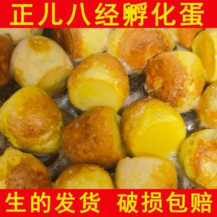 新鲜实蛋寡蛋孵化8天旺鸡蛋夜市摆摊烧烤非毛鸡蛋生的40枚送蘸料