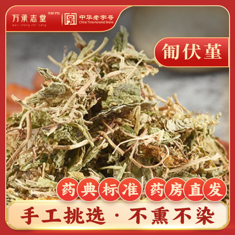 匍伏堇50g中药材白地黄瓜地白菜野白菜冷毒草王瓜草老字号旗舰店